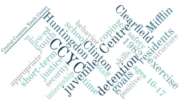 a word graph containing various counties served and terms associated with juvenile detention centers